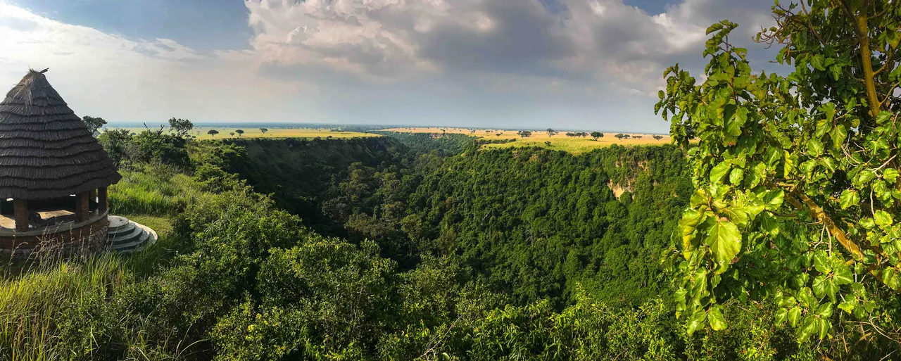 Kyambura Gorge also known as the valley of apes, is a forest in queen Elizabeth national park