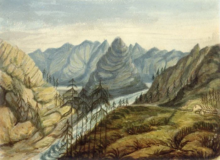 Tyerman, Daniel 1773-1828 :Wesley Dale, New Zealand [1824]
Reference Number: A-263-001

Shows Wesleydale mission station established in 1823 by Samuel Leigh and William White. The view is from above, looking down, with the mission buildings and fences to the right, tall trees (possibly kauri), the Kaeo River and exaggerated surrounding peaked hills, including the terraced conical shape of Pohue, at that stage the pa of the chief 'George' who blew up the Boyd in Whangaroa Harbour.